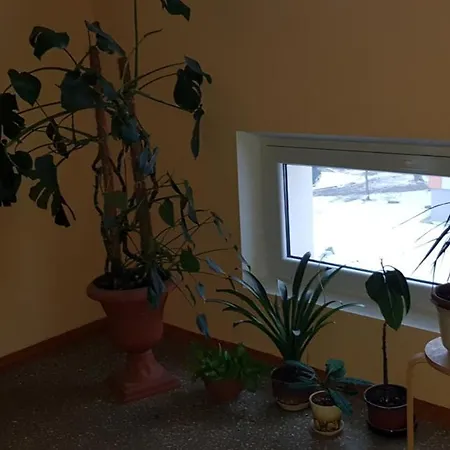 Apartment Vip Sweetie